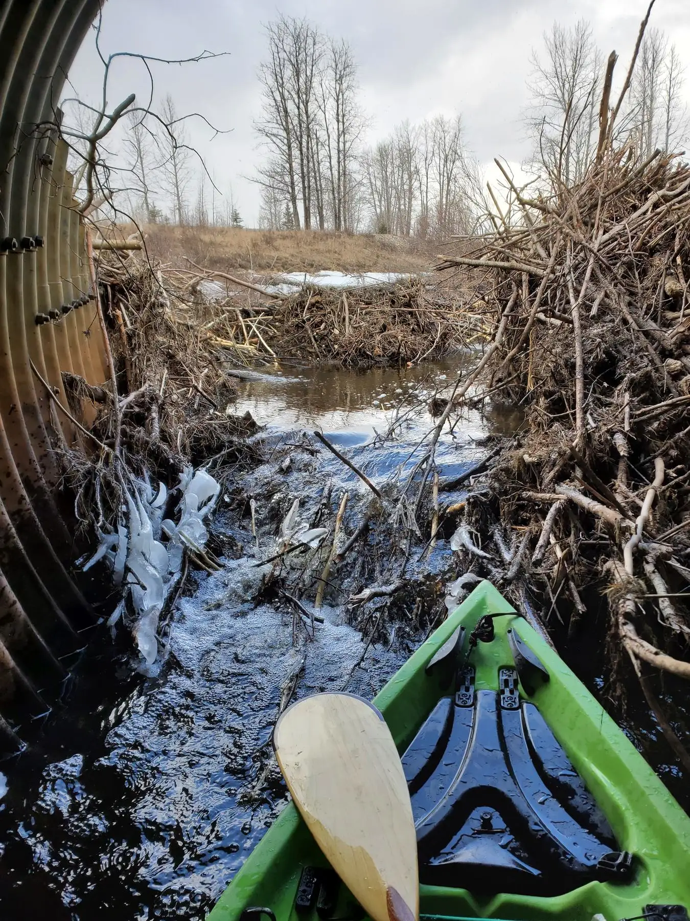 View from inside a culvert toward a wire fence holding back sticks, with a kayak paddle in the foreground