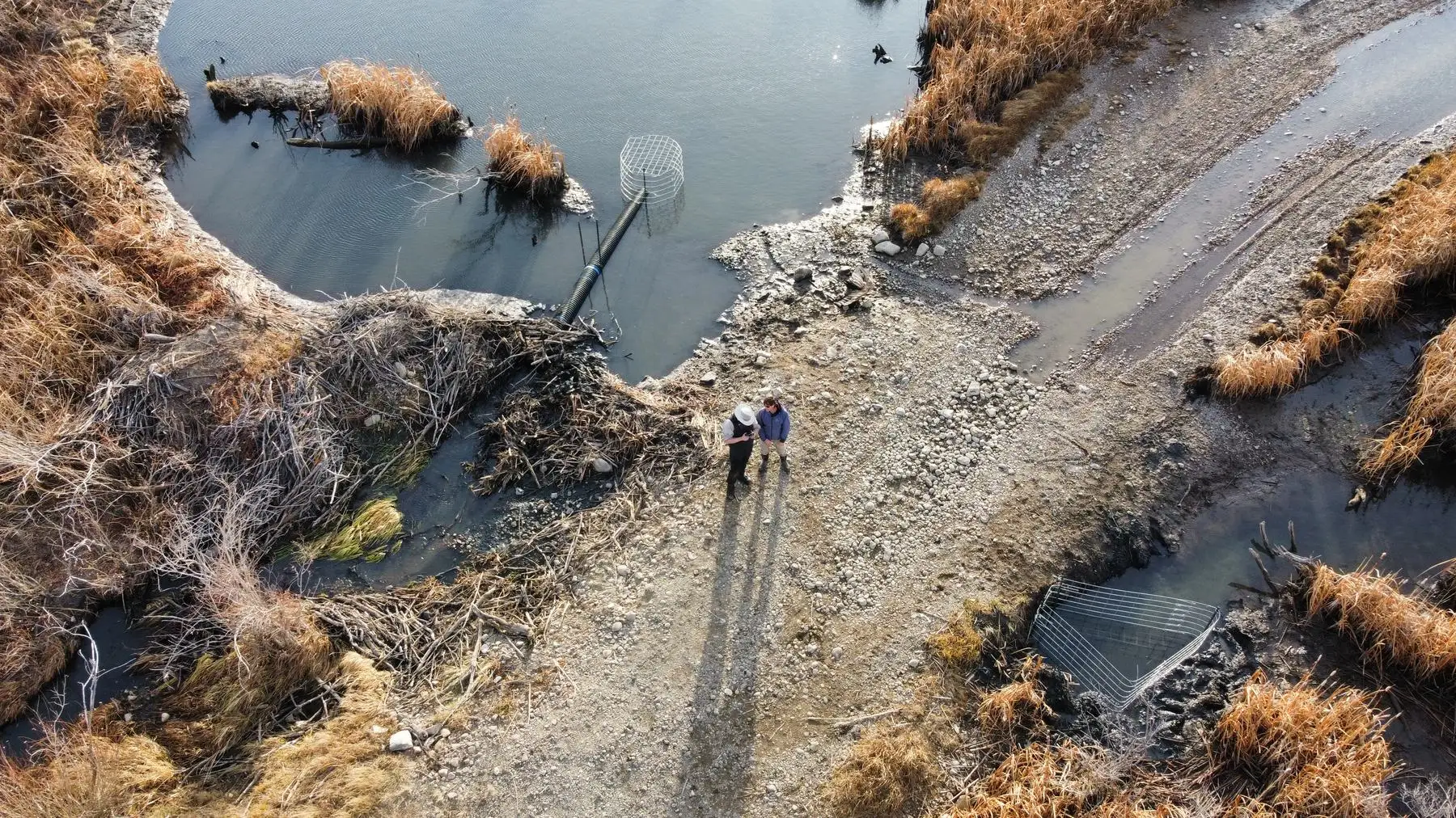 Aerial view of a road crossing a creek, with a pond leveller pipe on one side and a culvert exclusion fence on the other