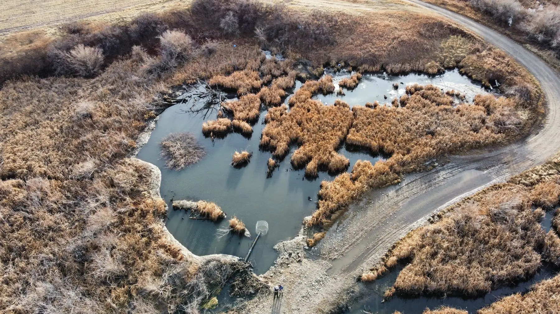 Aerial view of a dry gravel road beside a beaver pond