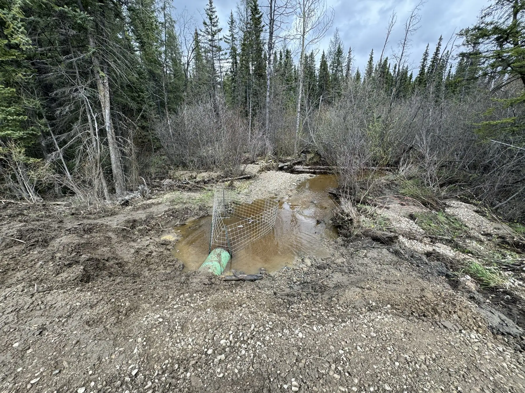 A protective wire fence around a culvert outlet