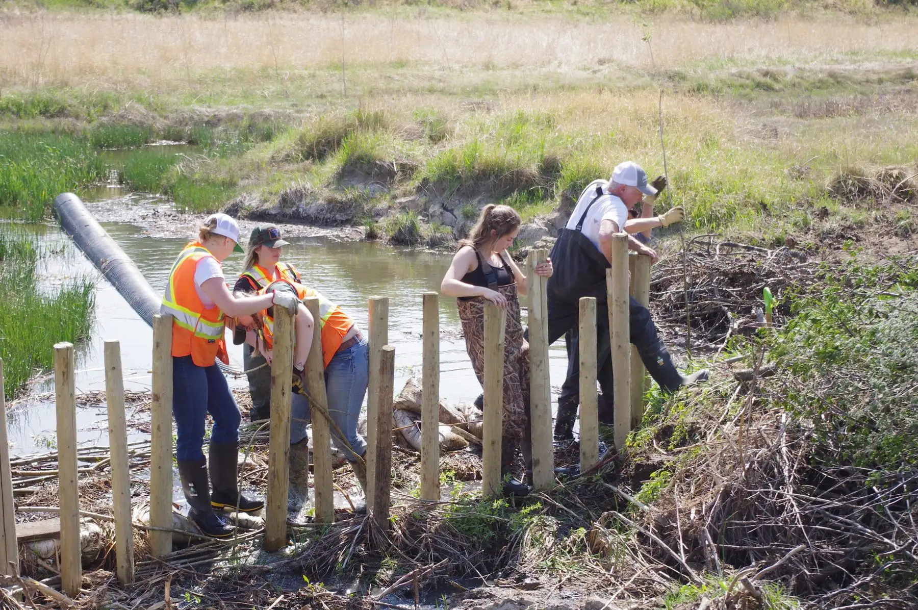 A crew in hi-vis vests driving wooden posts into a creek bed