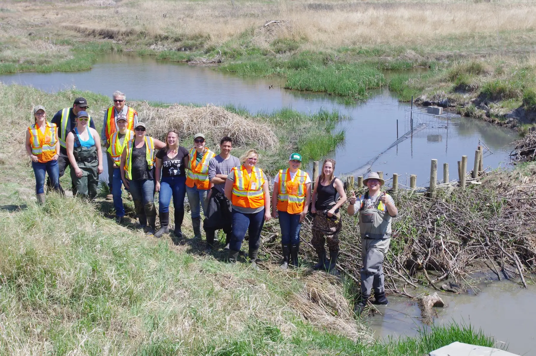 A crew in hi-vis vests standing in front of a finished beaver dam analogue