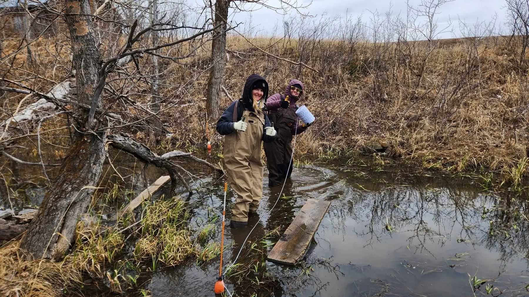 Two people in waders installing a floating electric fence line along a shoreline