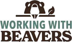 Working with Beavers